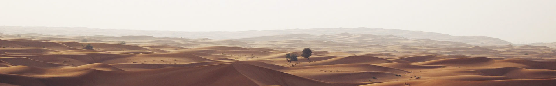 İغľҵ޹˾